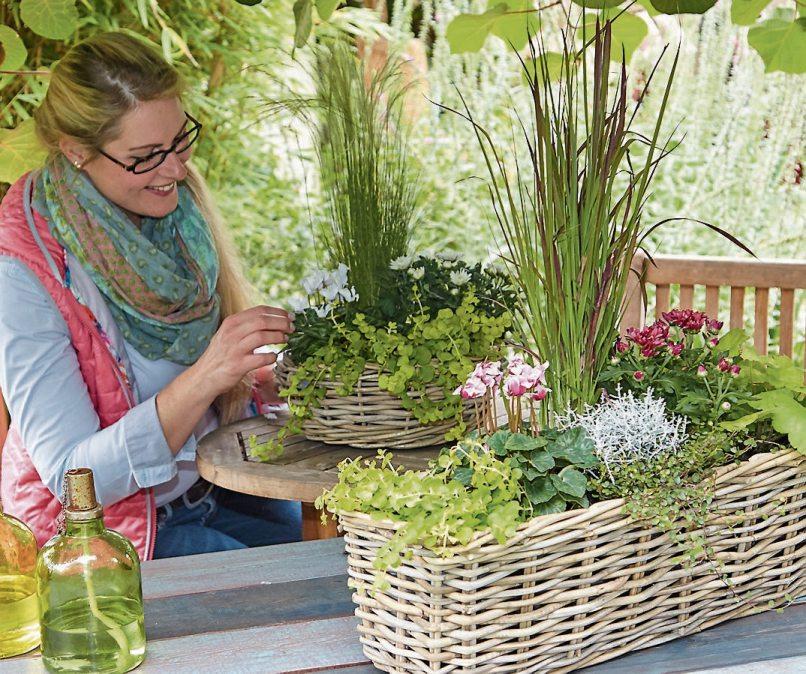 So lässt sich der Herbst genießen: Pflanzgefäße mit einer Kombination aus Blüh- und Blattschmuckpflanzen verschönern Balkon und Terrasse. Das funktioniert auch für Schattenplätze. Bild: GMH/FGJ