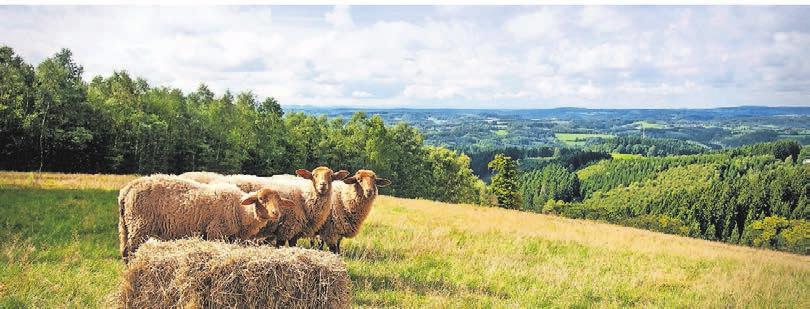 Weites Land zum Wandern und zum Genießen. Foto Druckreif Medien Weites Land zum Wandern und zum Genießen. Foto Druckreif Medien