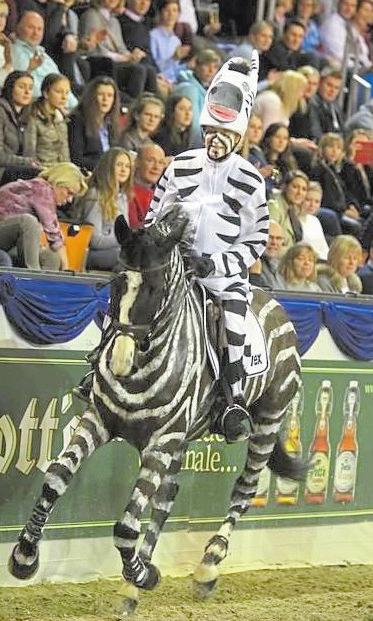 2018 startete Ingrid Klimke beim Kostümspringen im Zebra-Look. Und diesmal? 2018 startete Ingrid Klimke beim Kostümspringen im Zebra-Look. Und diesmal?