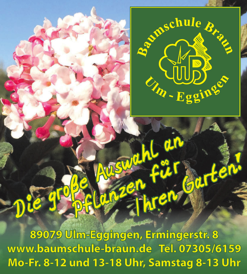 Baumschule Braun GmbH Baumschule Braun GmbH