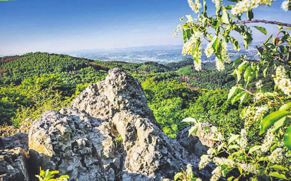 Grüße vom Mount Bonn Grüße vom Mount Bonn