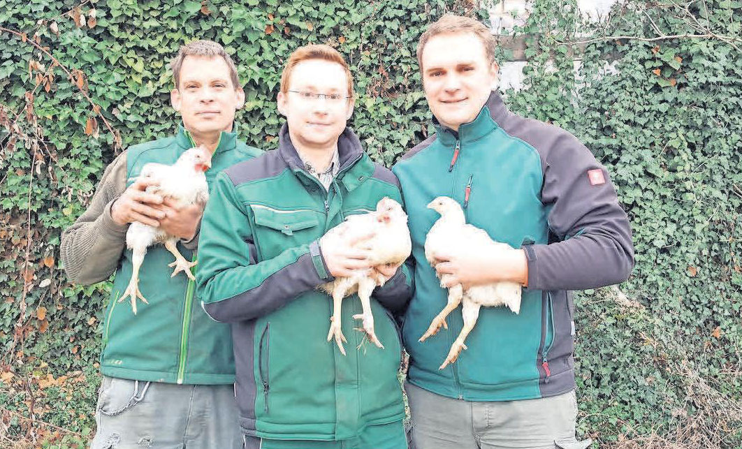 Harm Nöhre (von links), Karl Eckerlin und Immo Behre bieten auf den Nöhrenhof Masthähnchen an. Harm Nöhre (von links), Karl Eckerlin und Immo Behre bieten auf den Nöhrenhof Masthähnchen an.
