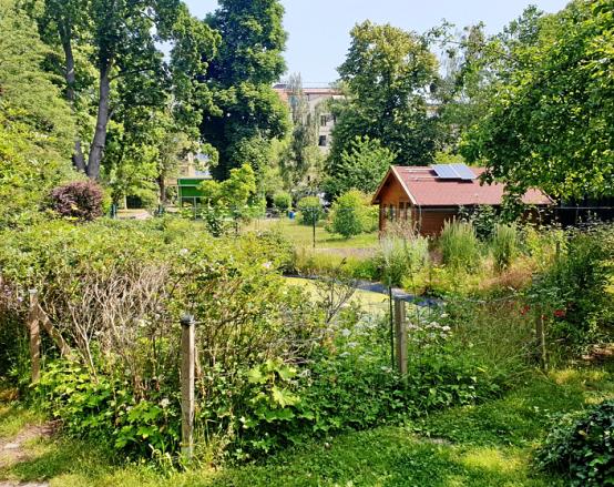 Der üppige Schulgarten mit 6000 Quadratmetern – und das mitten in der Stadt. Der üppige Schulgarten mit 6000 Quadratmetern – und das mitten in der Stadt.