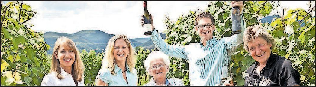 Familienbetrieb Weingut Jul. Ferd. Kimich in Deidesheim: Viel Handarbeit Image 5 Familienbetrieb Weingut Jul. Ferd. Kimich in Deidesheim: Viel Handarbeit Image 5