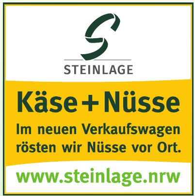 Steinlage