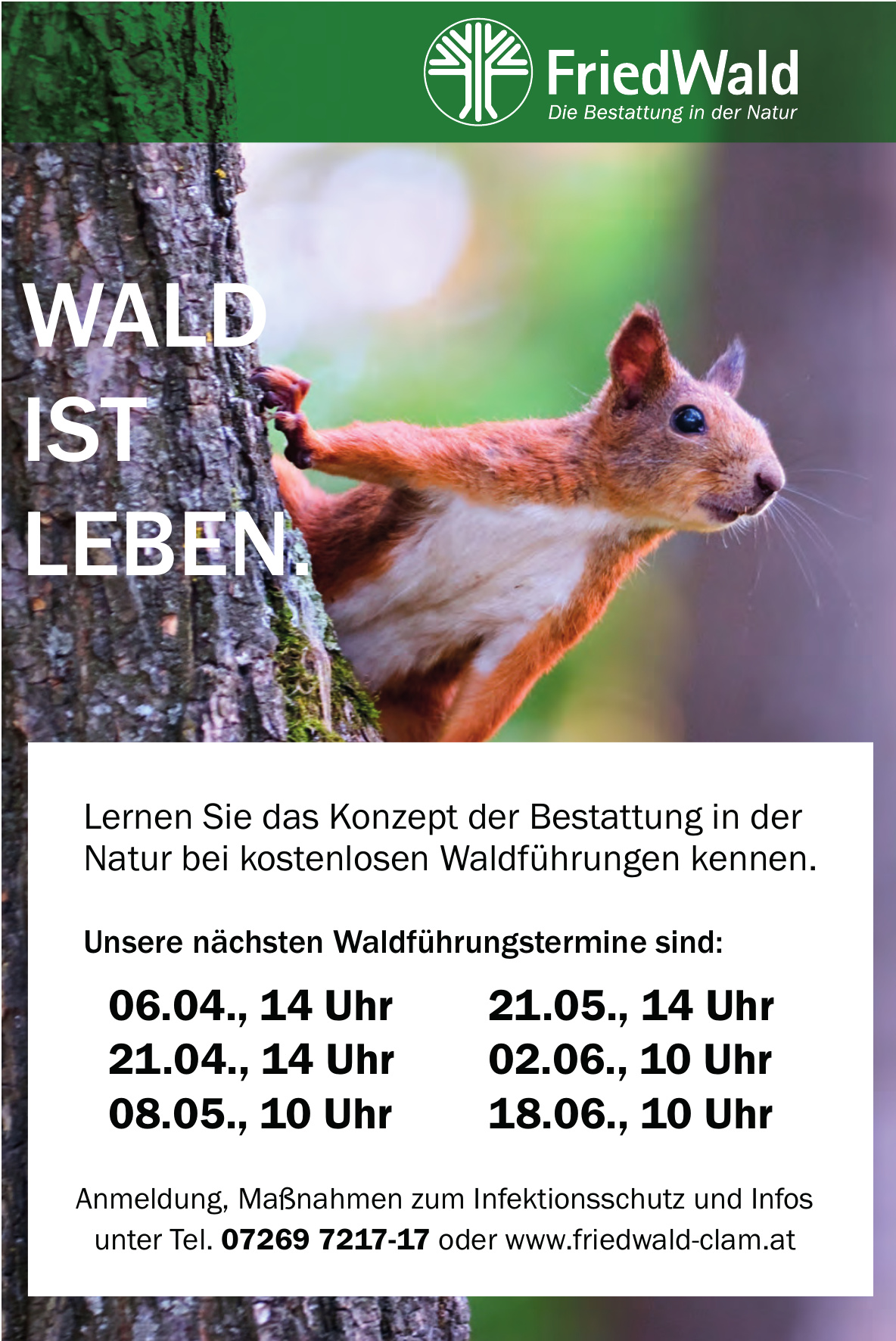 FriedWald FriedWald