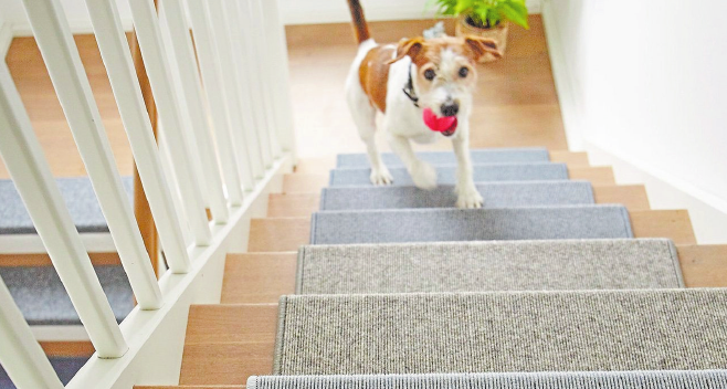 Ein ganzes Stück sicherer wird eine Treppe, wenn man diese mit speziellen Teppichfliesen belegt. Foto: Tretford Ein ganzes Stück sicherer wird eine Treppe, wenn man diese mit speziellen Teppichfliesen belegt. Foto: Tretford