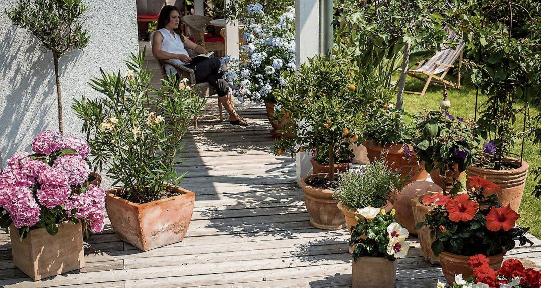 Vor allem Pflanzen, die auf Balkon und Terrasse in Kästen und Kübeln wachsen, sind für die regelmäßige Versorgung mit Nährstoffen dankbar. Bild: Hauert
