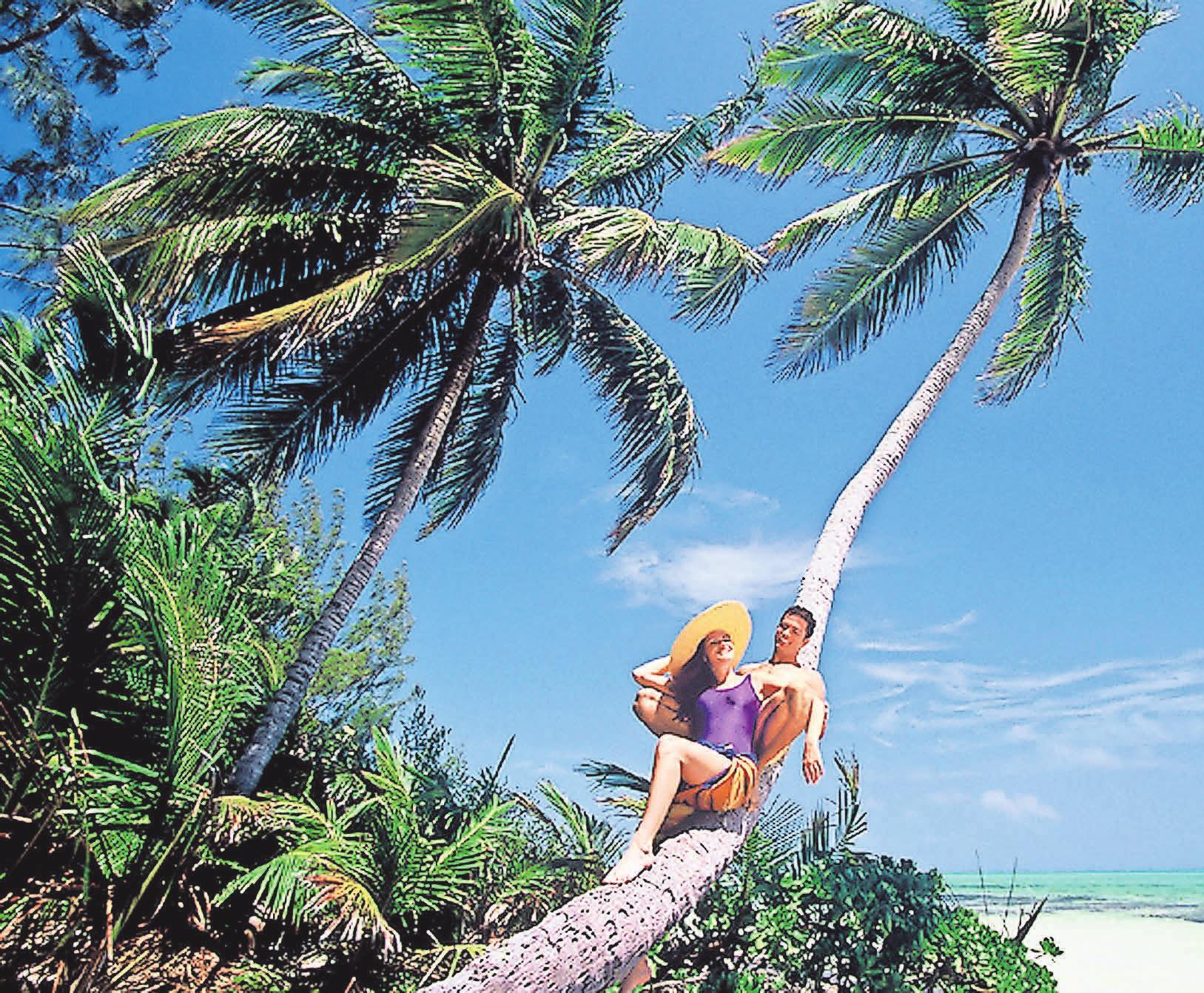 Unter Palmen investieren? Ein Steuerberater kann prüfen, ob diese Option sinnvoll ist. Foto: Bahamas Tourist Office Unter Palmen investieren? Ein Steuerberater kann prüfen, ob diese Option sinnvoll ist. Foto: Bahamas Tourist Office