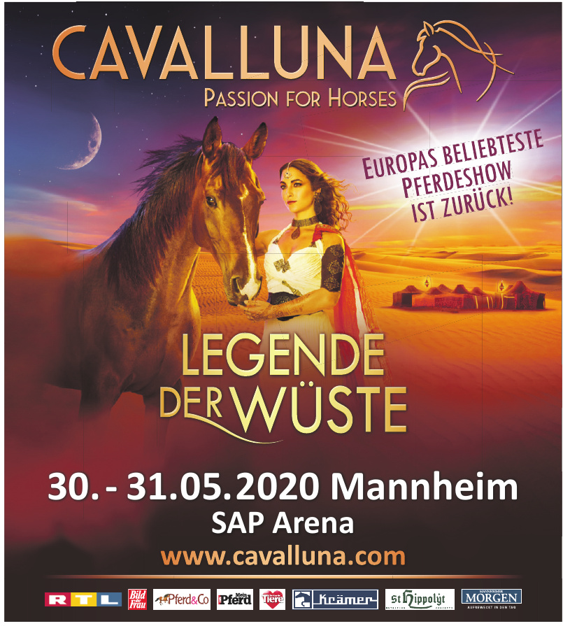 Cavalluna Cavalluna