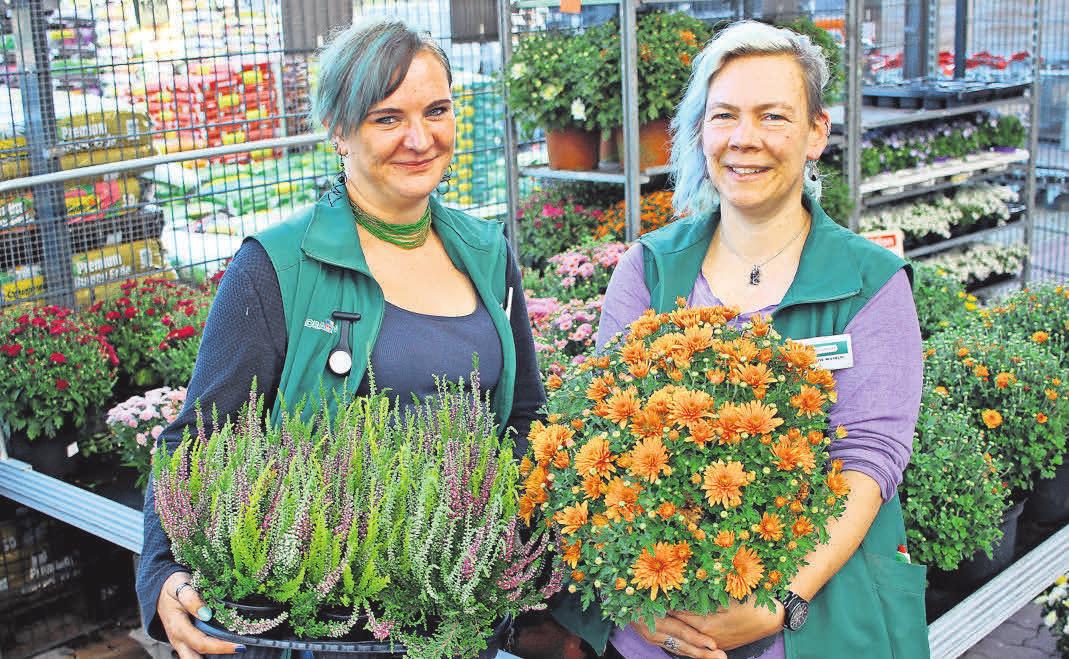 Kennen sich bestens aus beim Thema Herbstbepflanzung: Charlotte-Caroline von Coler und Antje Krause-Wilhelm (v.li.) aus der Gartenabteilung. Kennen sich bestens aus beim Thema Herbstbepflanzung: Charlotte-Caroline von Coler und Antje Krause-Wilhelm (v.li.) aus der Gartenabteilung.