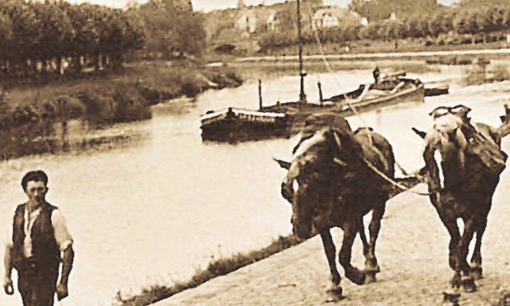Wie hier am Finowkanal in Brandenburg wurden die Kähne mit Pferden den Rhein hinaufgezogen. Bild: Gemeinfrei Wie hier am Finowkanal in Brandenburg wurden die Kähne mit Pferden den Rhein hinaufgezogen. Bild: Gemeinfrei