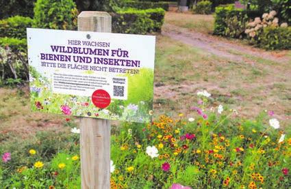 Der Friedhof freut sich auf weitere Menschen, die Patenschaften für Wildblumenwiesen und Bienen übernehmen