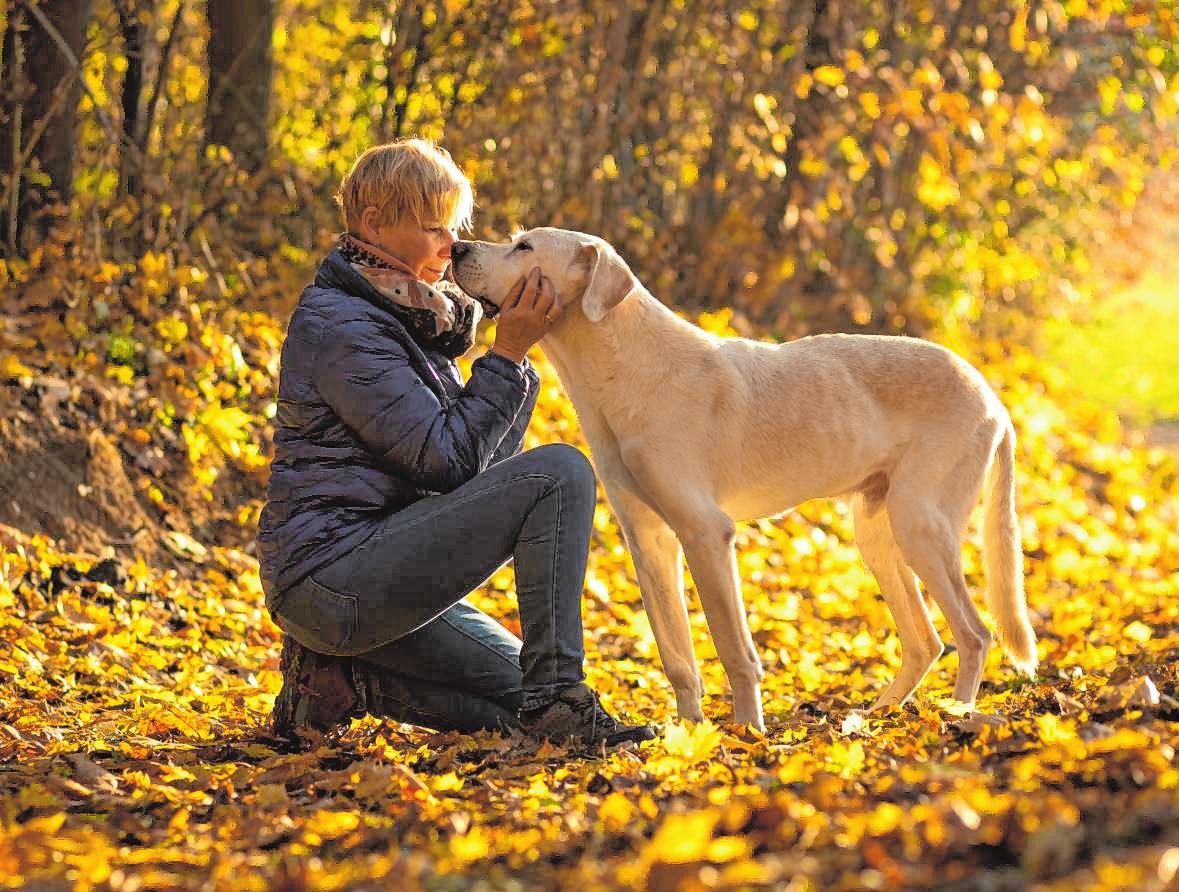 Liebevoller Abschied - Mein Hund - Mannheimer Morgen Liebevoller Abschied - Mein Hund - Mannheimer Morgen