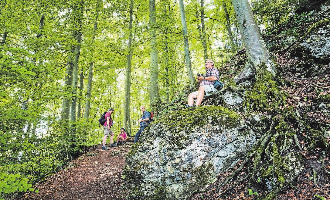 Unterwegs einfach mal Pause auf einem Felsen machen. Foto: Angela Hammer Unterwegs einfach mal Pause auf einem Felsen machen. Foto: Angela Hammer