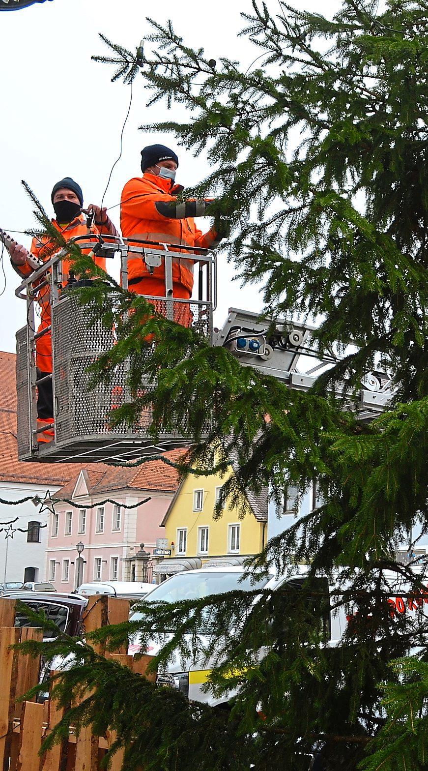 Zu jedem Weihnachtsfest gehört auch ein Christbaum – zu Hause im Wohnzimmer und in der Stadt auf dem großen Platz vor dem Rathaus. Auch in Beilngries steht er jetzt. Foto: Deisler Zu jedem Weihnachtsfest gehört auch ein Christbaum – zu Hause im Wohnzimmer und in der Stadt auf dem großen Platz vor dem Rathaus. Auch in Beilngries steht er jetzt. Foto: Deisler