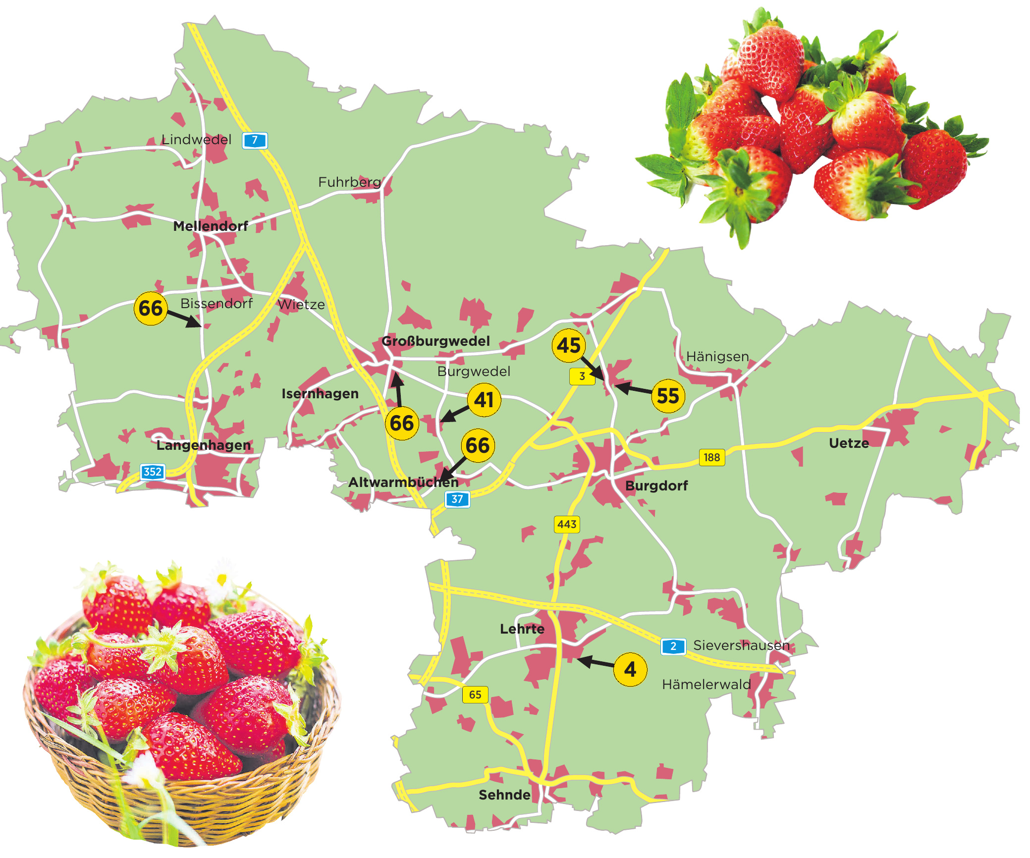 In Schichten wird aus Erdbeeren eine Lasagne Image 1 In Schichten wird aus Erdbeeren eine Lasagne Image 1