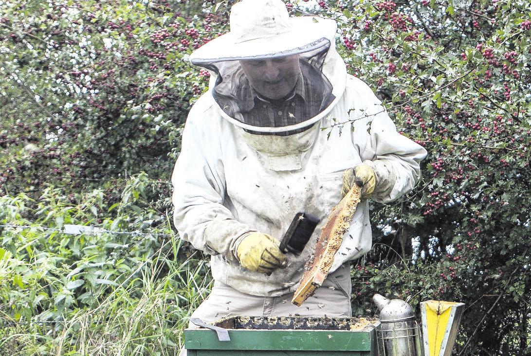 Beim „Tag der Imkerei“ wird Besuchern das traditionelle und wichtige Handwerk näher vorgestellt. Foto: privat Beim „Tag der Imkerei“ wird Besuchern das traditionelle und wichtige Handwerk näher vorgestellt. Foto: privat
