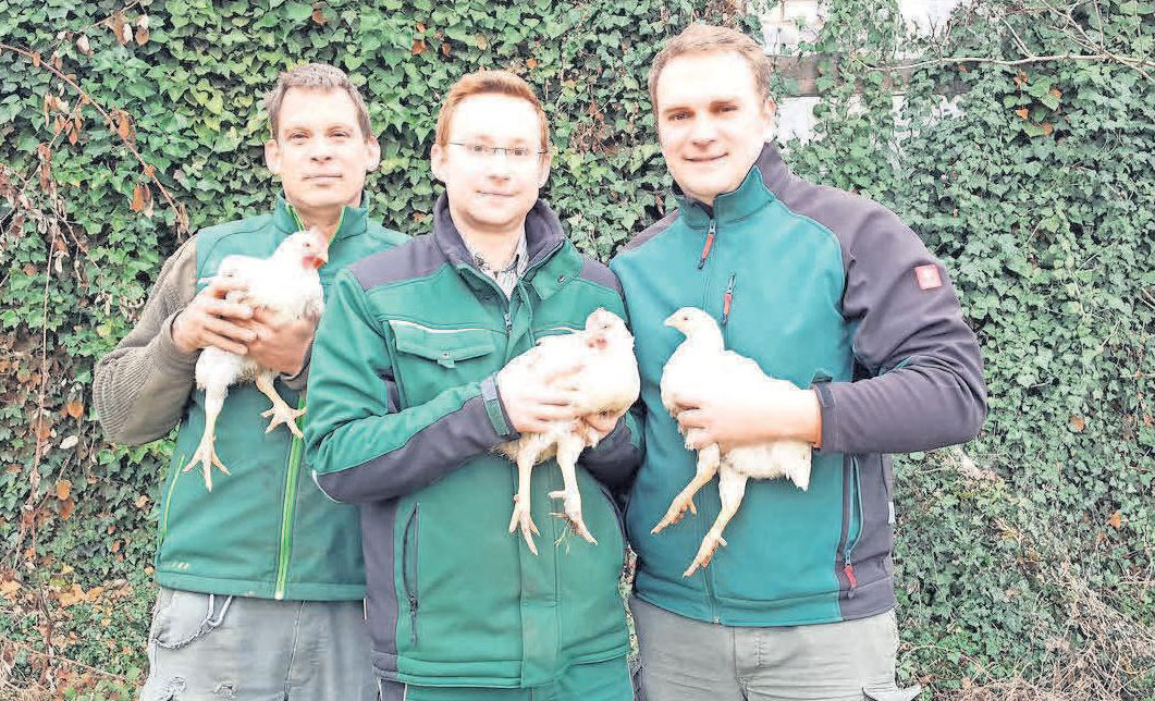 Harm Nöhre (von links), Karl Eckerlin und Immo Behre bieten auf den Nöhrenhof Masthähnchen an. Harm Nöhre (von links), Karl Eckerlin und Immo Behre bieten auf den Nöhrenhof Masthähnchen an.