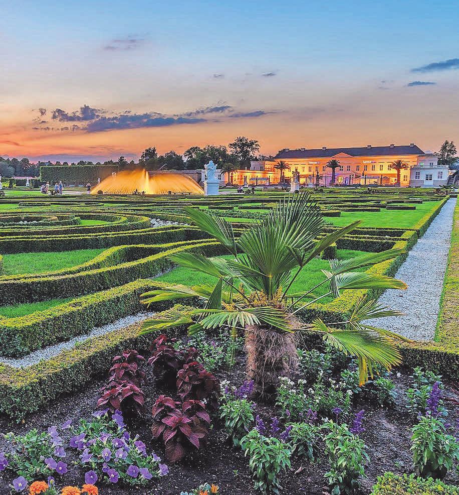 Die abendliche Stimmung im illuminierten Großen Garten ist faszinierend. Foto: Stefan Schulze Die abendliche Stimmung im illuminierten Großen Garten ist faszinierend. Foto: Stefan Schulze