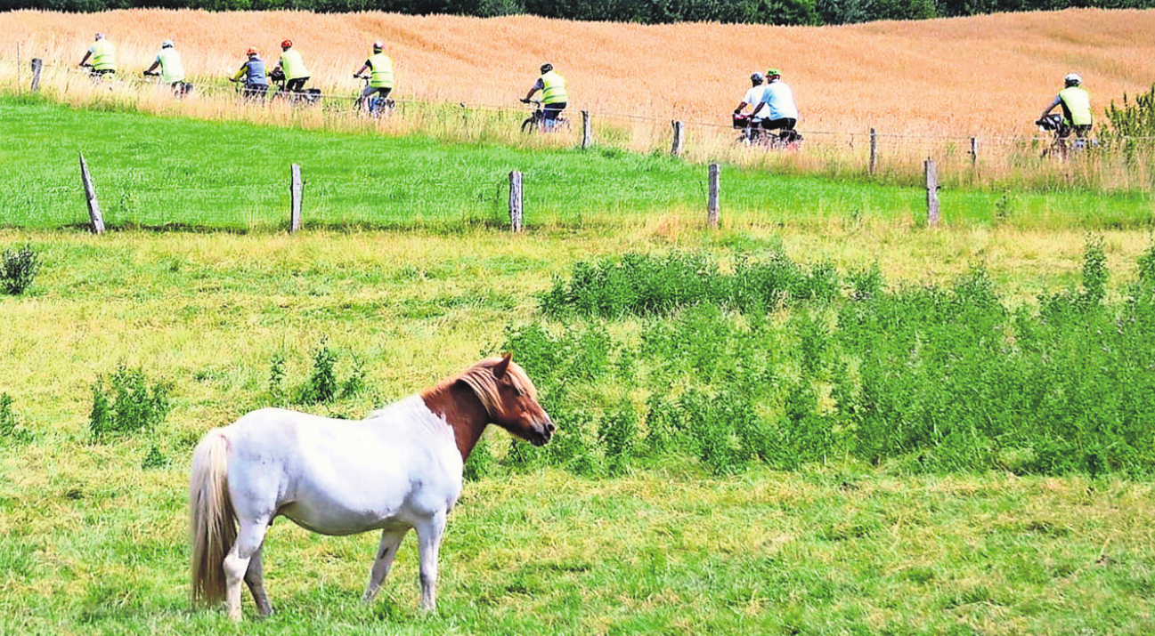 Da werden sogar die Pferde neidisch angesichts des entspannten Urlaubsvergnügens. Foto: djd Da werden sogar die Pferde neidisch angesichts des entspannten Urlaubsvergnügens. Foto: djd