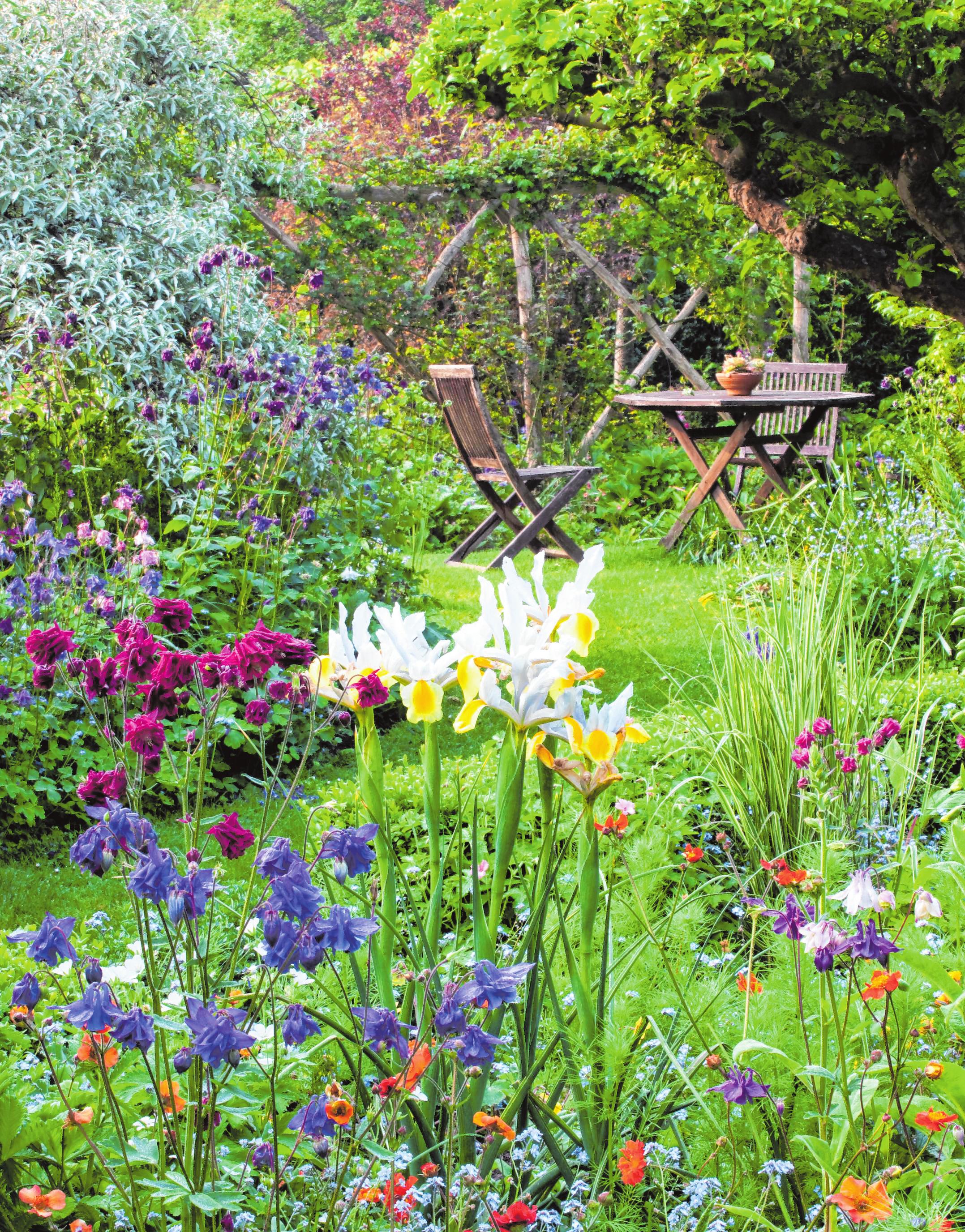 Im Cottage-Garten werden durchgängige Sichtachsen vermieden, so dass jedes Eckchen des Gartens eine Überraschung bieten könnte, die man erst beim Betreten sieht. Im Cottage-Garten werden durchgängige Sichtachsen vermieden, so dass jedes Eckchen des Gartens eine Überraschung bieten könnte, die man erst beim Betreten sieht.