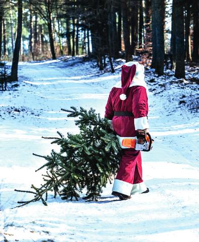 Wenn selbst der Weihnachtsmann zur Säge greift Image 2