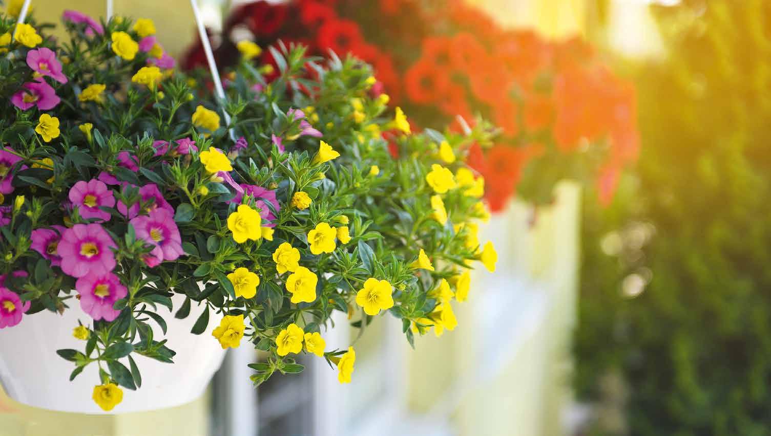 © sushytska/123RF © sushytska/123RF