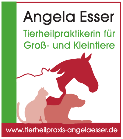 Angela Esser Angela Esser