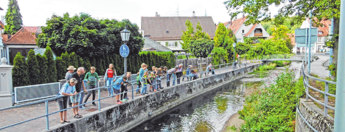 Eine der Attraktionen in Ochsenhausen ist das Gässle. FOTOS: PRIVAT Eine der Attraktionen in Ochsenhausen ist das Gässle. FOTOS: PRIVAT