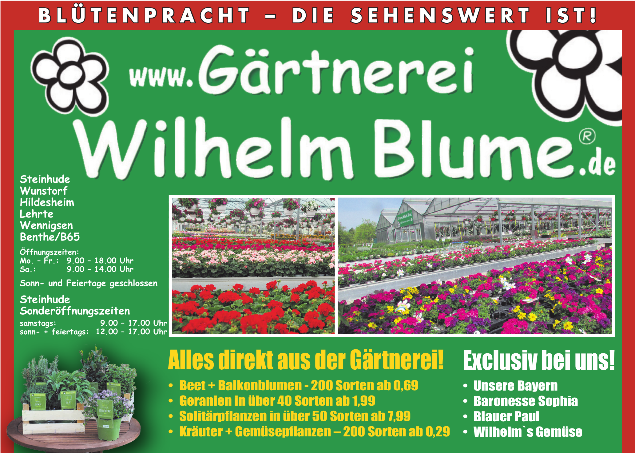 Gärtnerei Wilhelm Blume Gärtnerei Wilhelm Blume