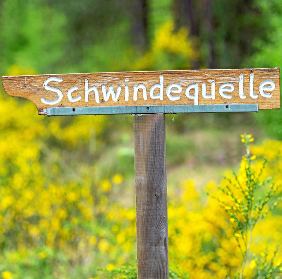 Durch die Heide Image 3 Durch die Heide Image 3