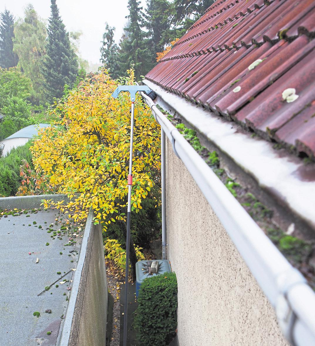 Dachrinnen müssen frei von Laub und anderen Fremdkörpern sein, damit im Winter Regen- und Schmelzwasser gut ablaufen kann. Foto: Silvia Marks/mag