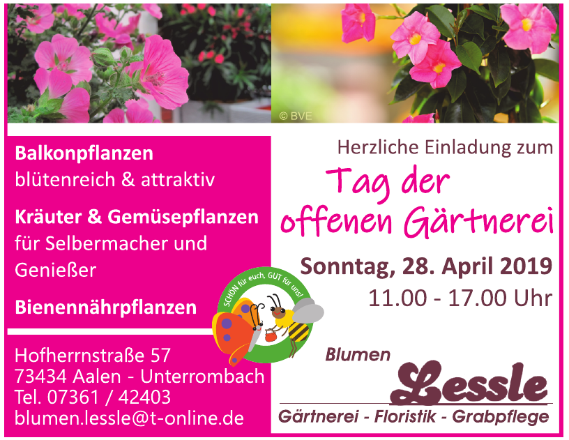 Blumen Lessle Blumen Lessle