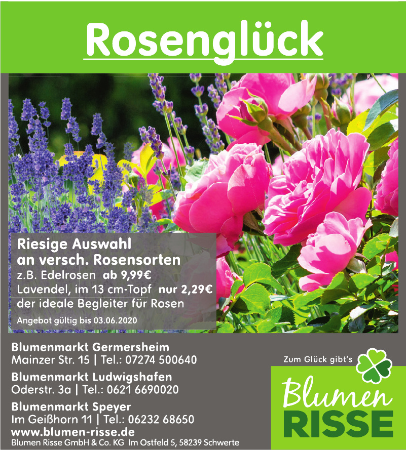 58+ Blumen Risse Speyer, Öffnungszeiten von blumen risse blumenmarkt