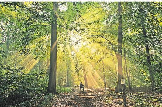 Wanderer, Pilger und Radfahrer finden in der Region ein gut ausgeschildertes Wegenetz. Wanderer, Pilger und Radfahrer finden in der Region ein gut ausgeschildertes Wegenetz.