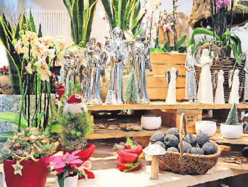 Im Geschäft Die Blume dominieren jetzt Sträuße, Kränze und Gestecke in klassischem Rot, Accessoires für Fensterbank und Tisch dürfen glänzen. Im Geschäft Die Blume dominieren jetzt Sträuße, Kränze und Gestecke in klassischem Rot, Accessoires für Fensterbank und Tisch dürfen glänzen.