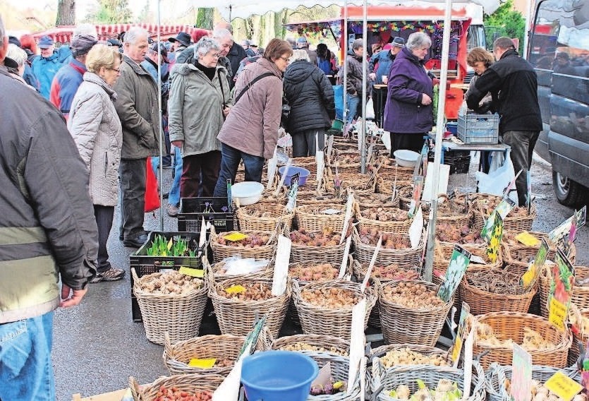 Auch alles rund um die neue Gartensaison gibt es in Römhild auf dem Kalten Markt. Fotos: Lemme Auch alles rund um die neue Gartensaison gibt es in Römhild auf dem Kalten Markt. Fotos: Lemme