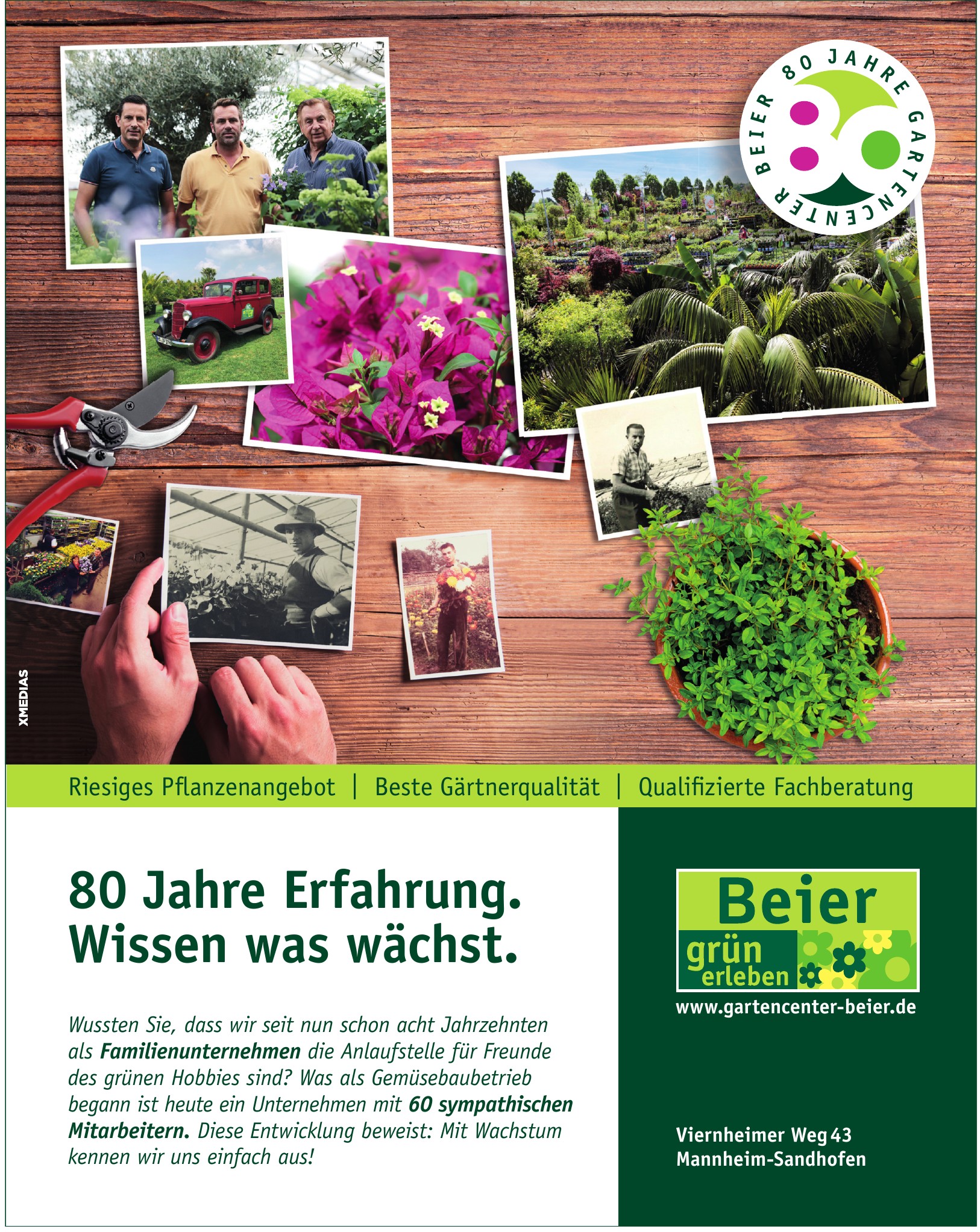 Beier GmbH & Co. KG Beier GmbH & Co. KG