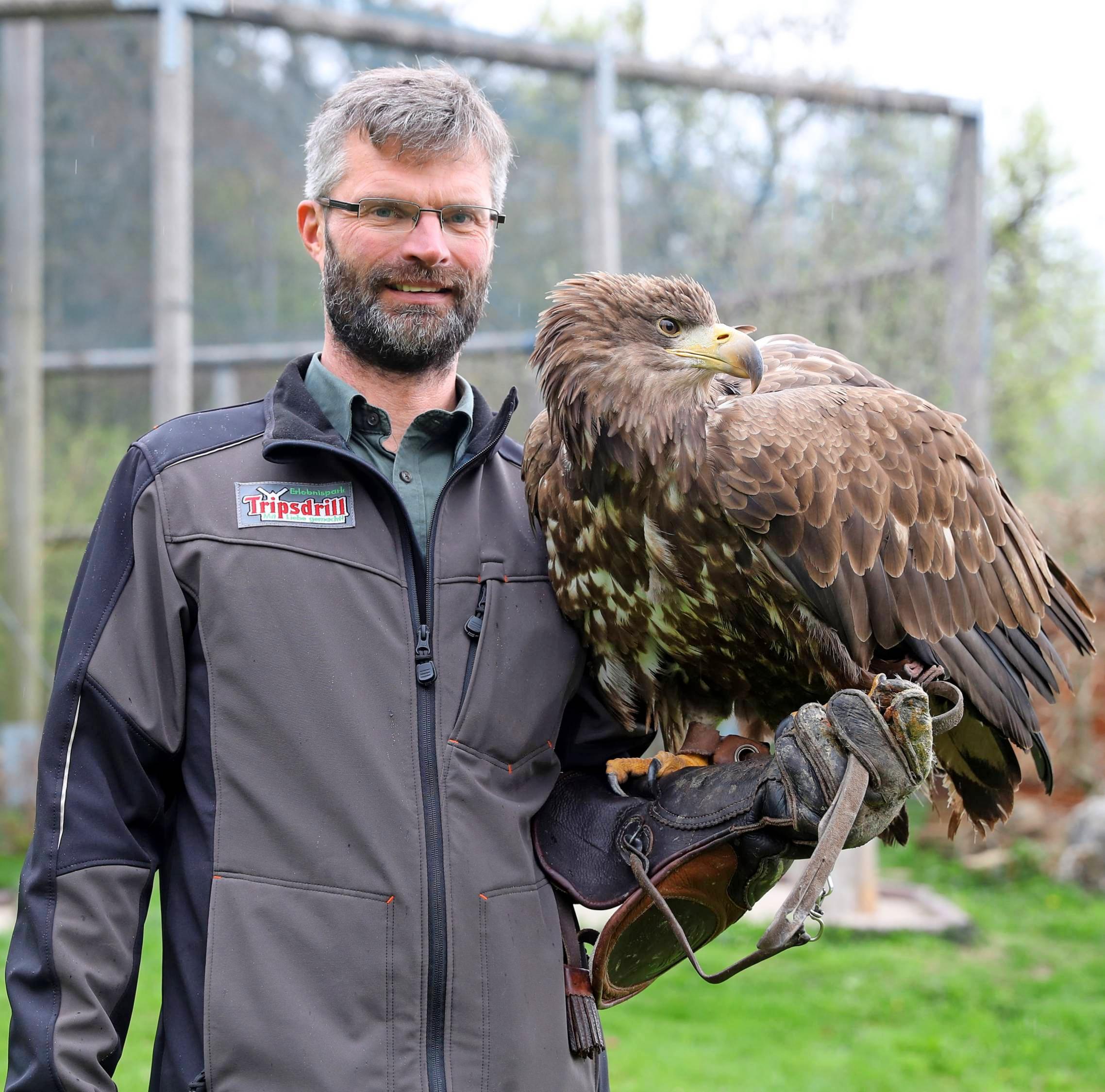 „Mit Tieren zu arbeiten ist meine absolute Leidenschaft“, sagt Falkner Roland Werner. Freya, der europäische Seeadler, ist einer der Greifvögel, die bei den Flugvorführungen in Tripsdrill zu sehen sind. „Mit Tieren zu arbeiten ist meine absolute Leidenschaft“, sagt Falkner Roland Werner. Freya, der europäische Seeadler, ist einer der Greifvögel, die bei den Flugvorführungen in Tripsdrill zu sehen sind.