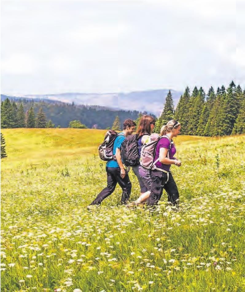 In Frühling und Sommer wandert man am Feldberg durch blühende Wiesen. In Frühling und Sommer wandert man am Feldberg durch blühende Wiesen.