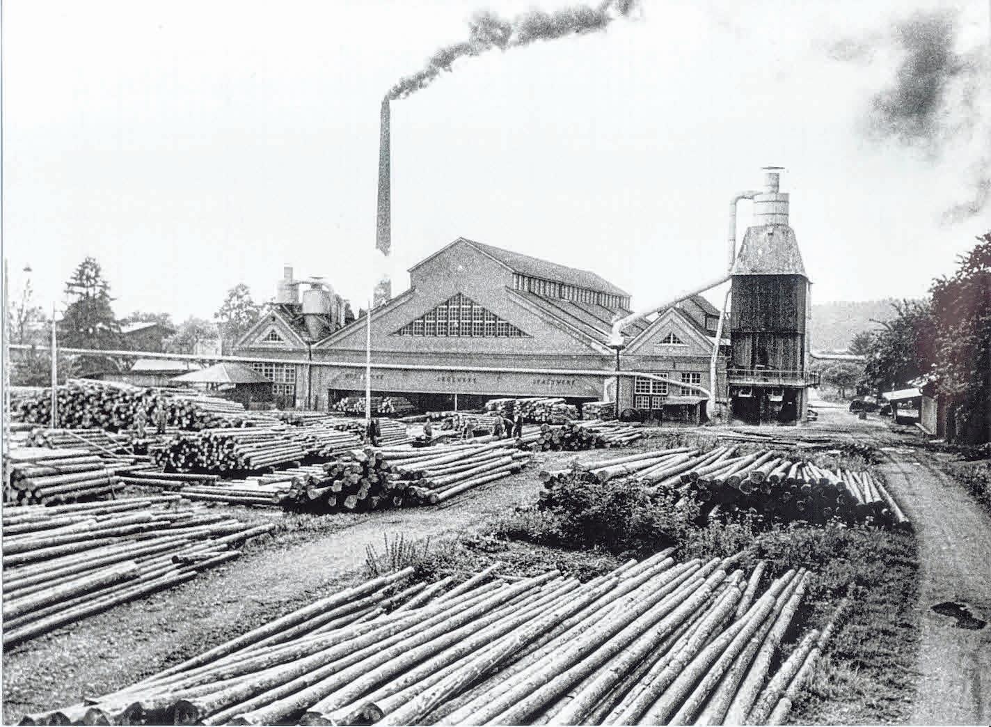 Historische Aufnahme des Rundholzplatzes der hiwo GmbH. FOTO: HIWO GMBH // KLENK HOLZ GMBH Historische Aufnahme des Rundholzplatzes der hiwo GmbH. FOTO: HIWO GMBH // KLENK HOLZ GMBH