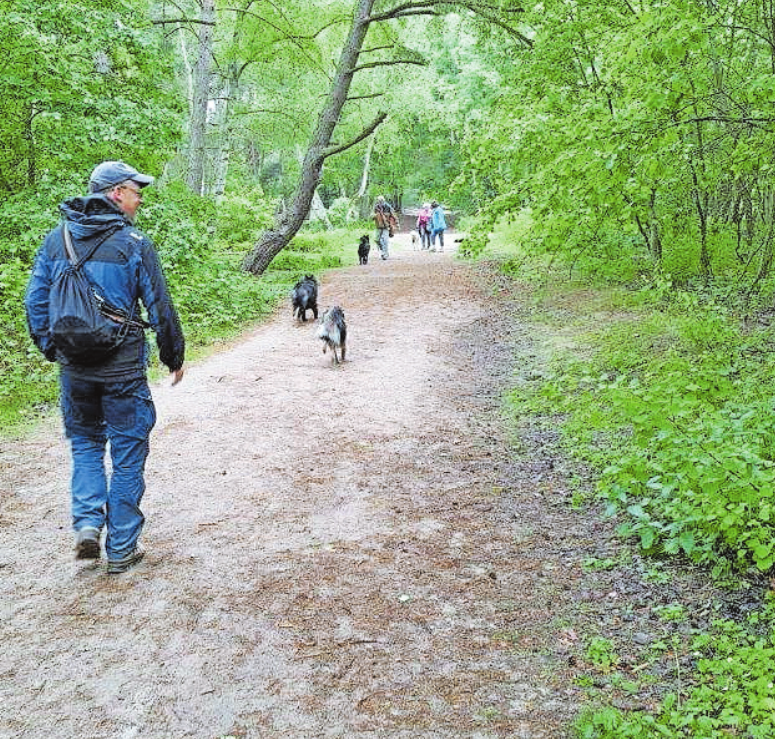 Lehrreich: ein Spaziergang durch die gut eine Million Jahre alte Dünenlandschaft. FOTO:DBU/DENSTORF/FREI Lehrreich: ein Spaziergang durch die gut eine Million Jahre alte Dünenlandschaft. FOTO:DBU/DENSTORF/FREI