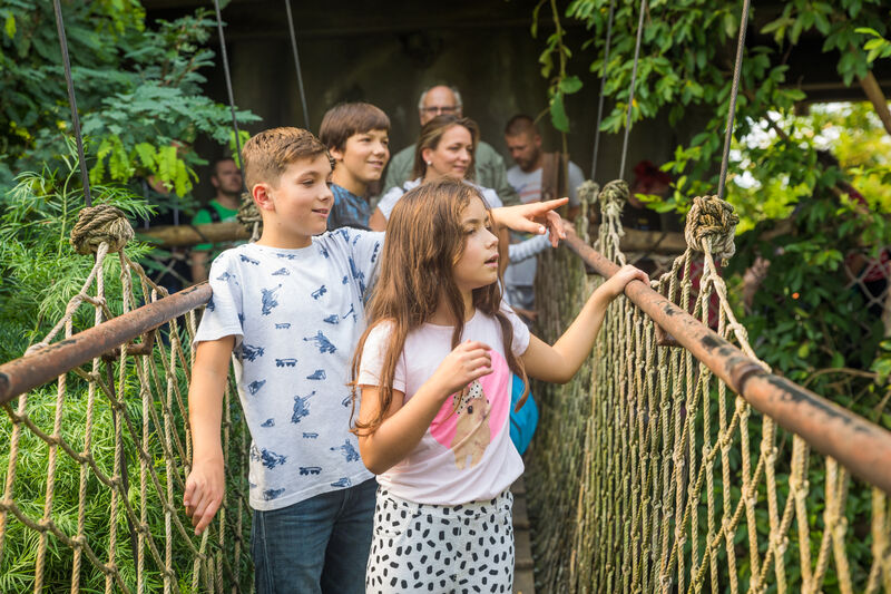 Tierische Abenteuer garantiert: Zoo Leipzig © Philipp Kirschner / Leipzig Travel