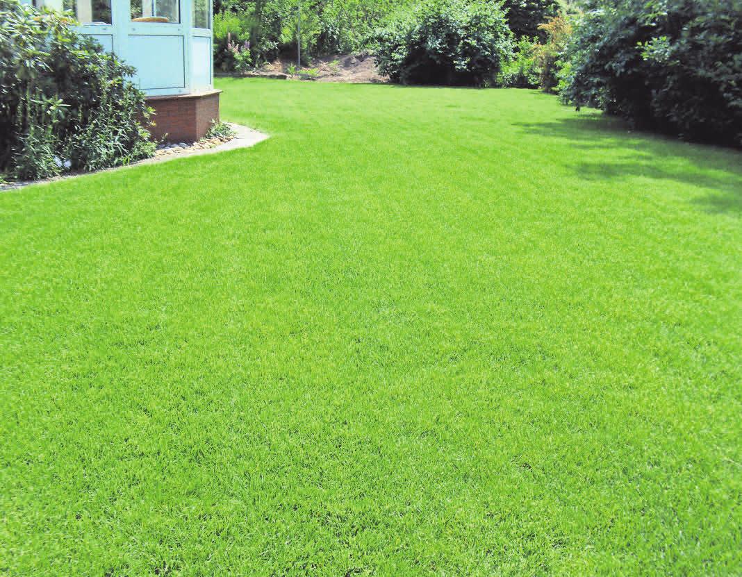 Der Rasen sieht aus wie in seinen besten Tagen. Da freut sich der Gartenfreund – die viele Arbeit hat sich ausgezahlt. Fotos: Eskilden Gärten Der Rasen sieht aus wie in seinen besten Tagen. Da freut sich der Gartenfreund – die viele Arbeit hat sich ausgezahlt. Fotos: Eskilden Gärten