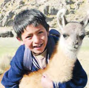 Originell und sinnvoll: Wer ein Lama verschenkt, hilft Kindern und Familien in Bolivien mit wärmender Wolle und sorgt gleichzeitig für eine beglückende Weihnachtsüberraschung Foto: djd/World Vision