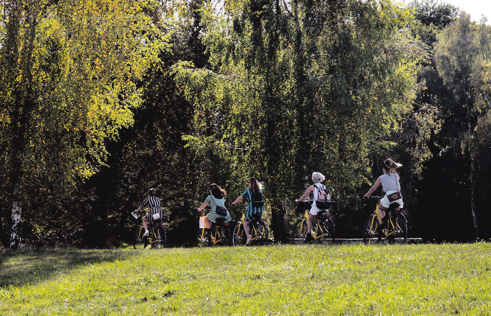 Wenn es noch wärmer wird und draußen wieder blüht und grünt, bietet sich die Landschaft um Bad Bramstedt herum für eine Radtour mit Familie oder Freunden an Foto: pixabay