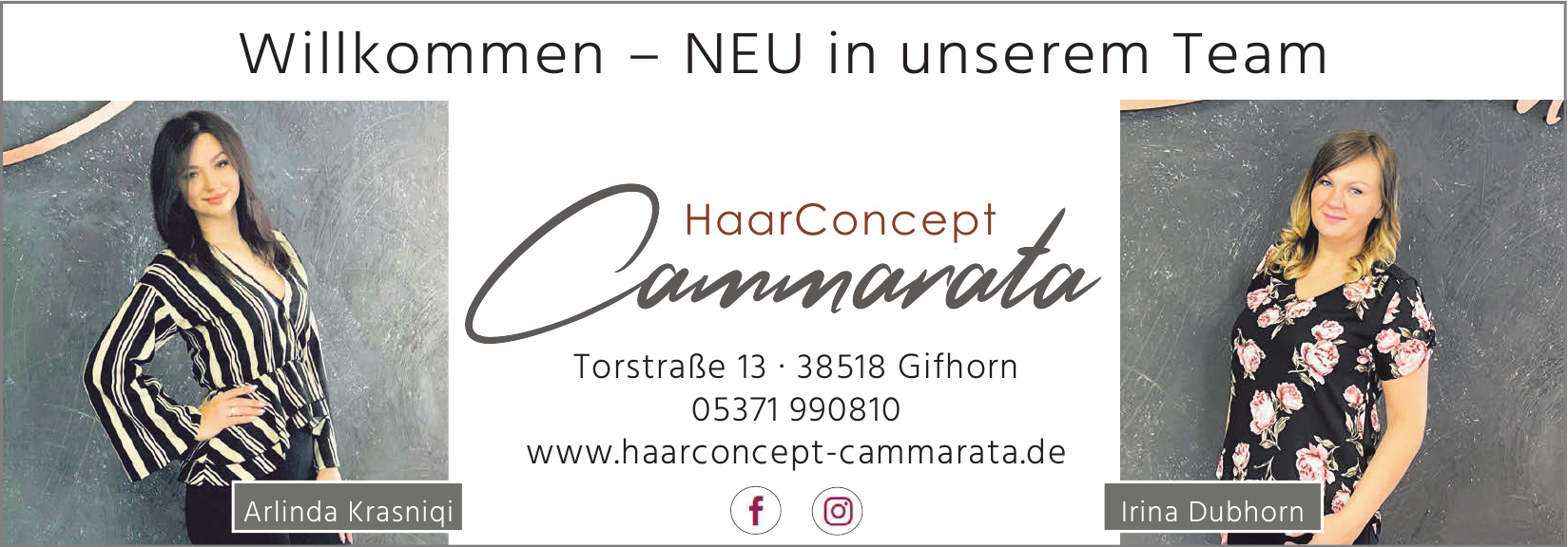 HaarConcept Cammarata HaarConcept Cammarata
