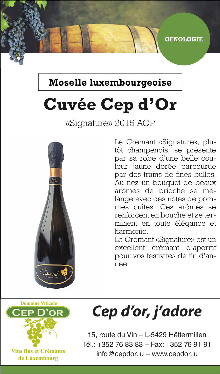 Cep d’or, j´adore Cep d’or, j´adore