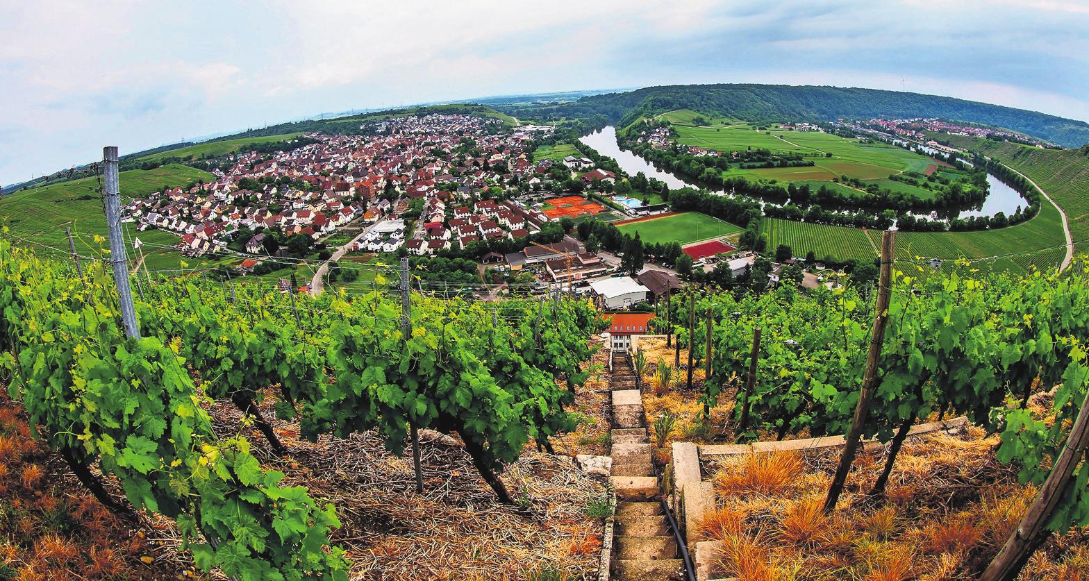 Beim Mundelsheimer Weindorf gibt es Weine aus den schönsten Lagen der Region. Foto: Karsten Schmalz